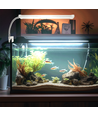 Akvarium LED Klemmelampe - Hvitt lys med bryter, 8W, 16 Lampeperler, 31-45 cm