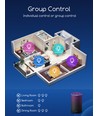 Smart LED-pære WB G45 E14 6,5W RGB+CCT