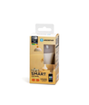 Smart LED-pære A60 E27 15W RGB+CCT - WB