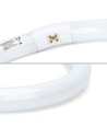 Aigostar Circolina 40W G10q - Neon 220V, Lys T9, Pære, Sirkulært Rør, 6500K